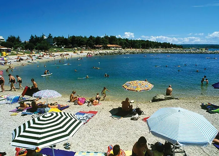 Apartamento Amazing In Novigrad With Wifi
